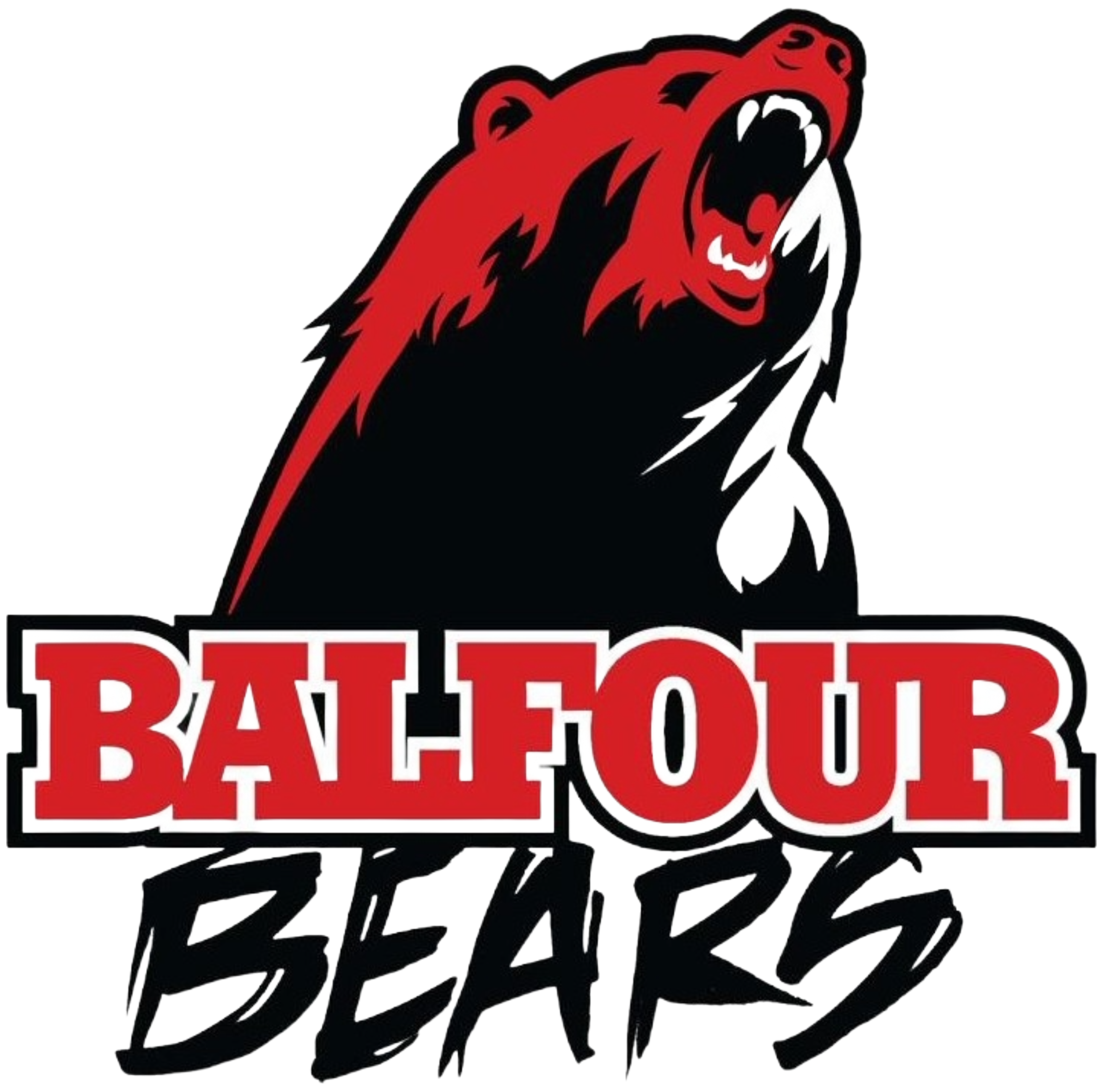 Tournament Team Logo
