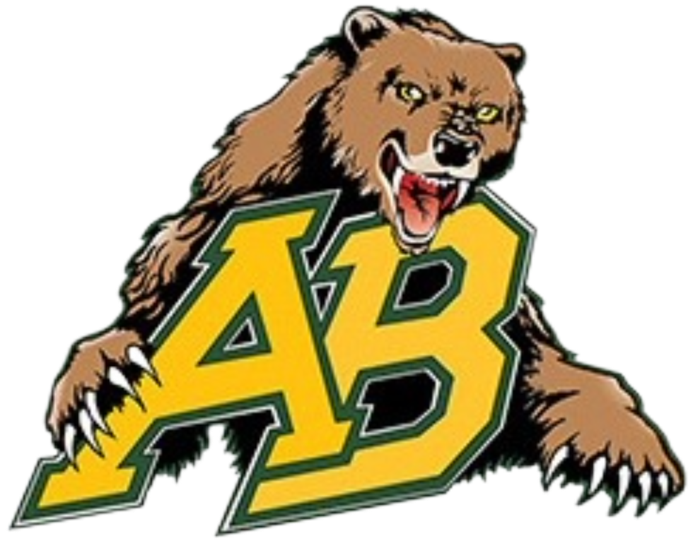 Tournament Team Logo